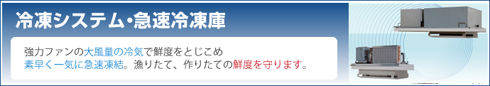 冷凍システム、急速冷凍庫